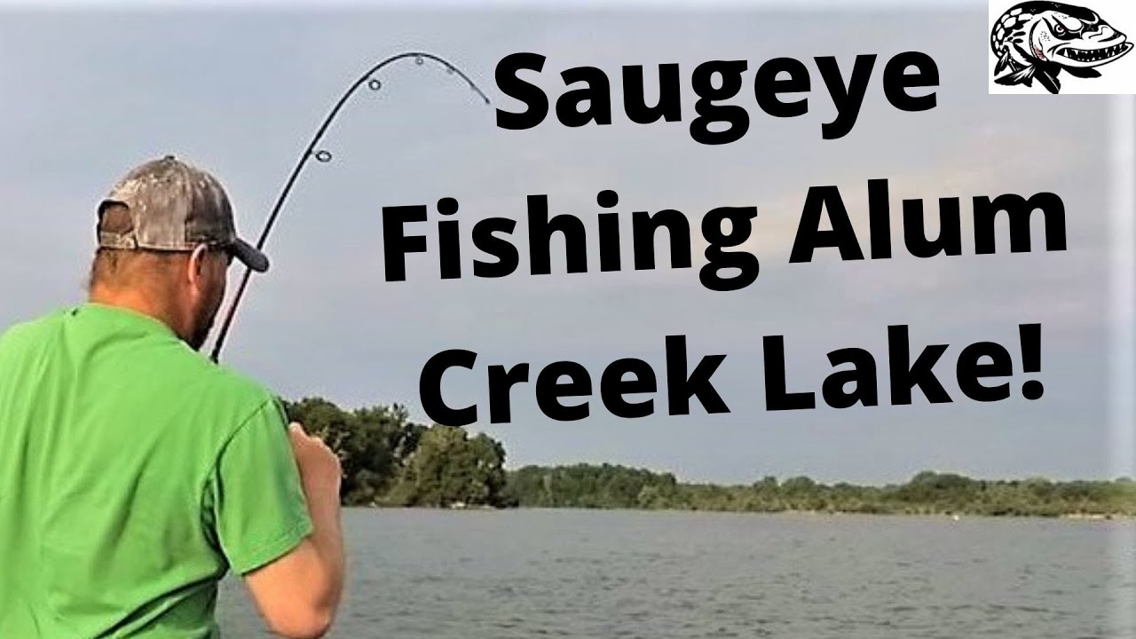 Saugeye Fishing at Alum Creek Lake