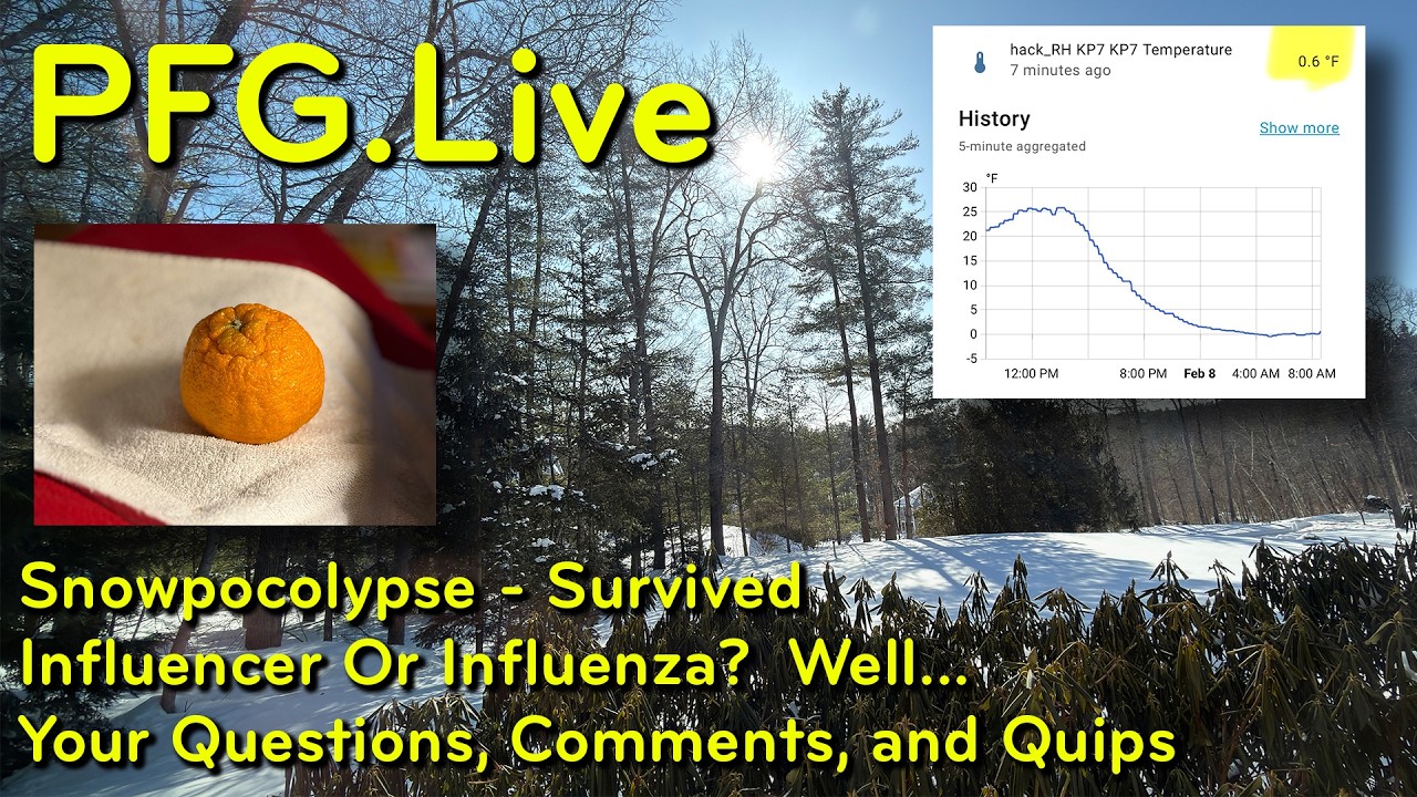 PFG.Live 2026-0208:  Snowpocolypse - Survived