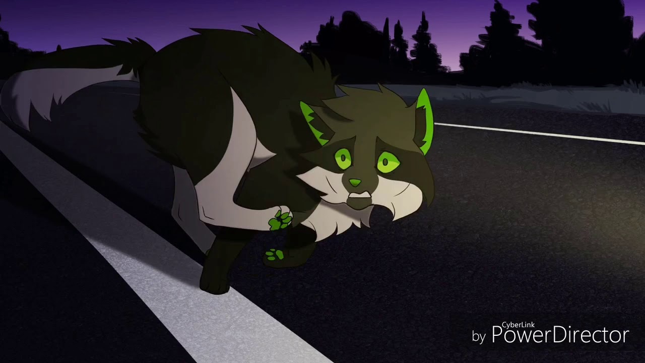 Warrior Cats~Dark Side