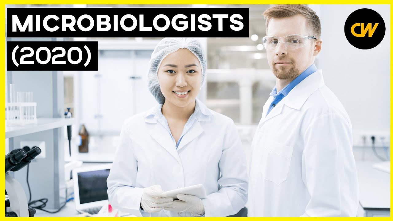 Microbiologist Salary (2020) – Microbiologist Jobs