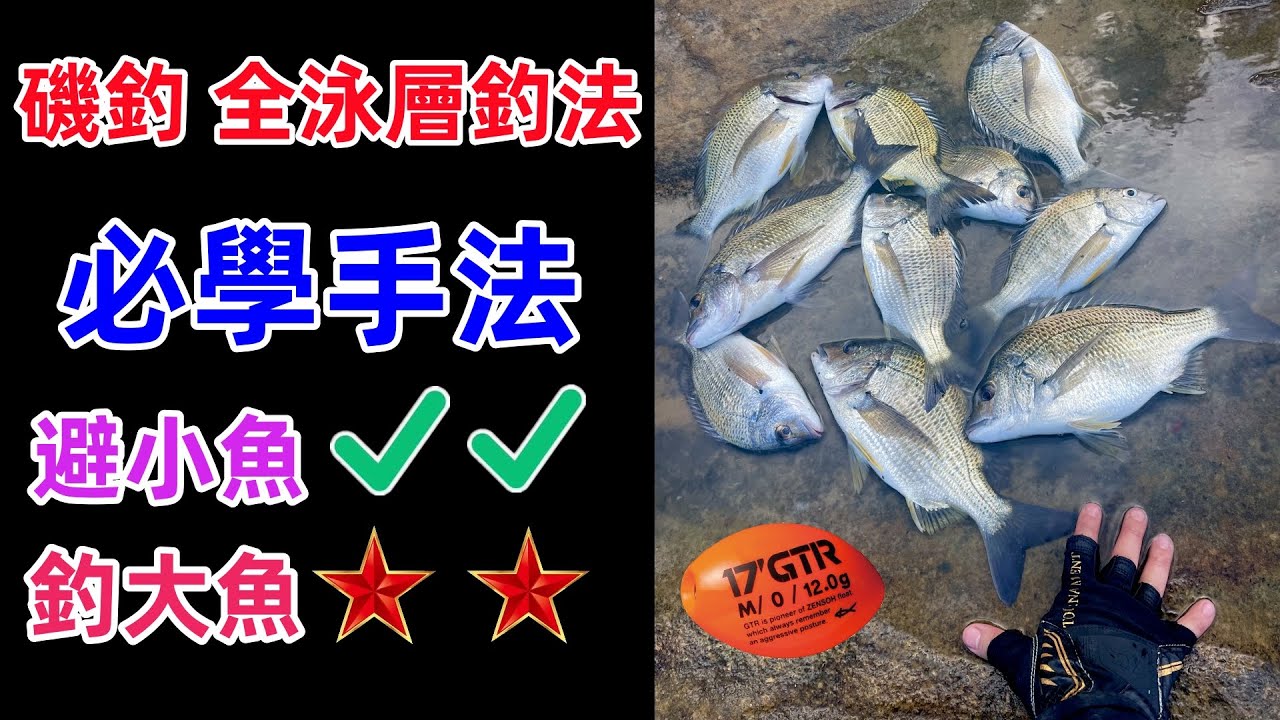 磯釣全泳層進階必學必杀技 全遊動實戰技巧心得畫面   #磯釣 #全遊動 #釣魚