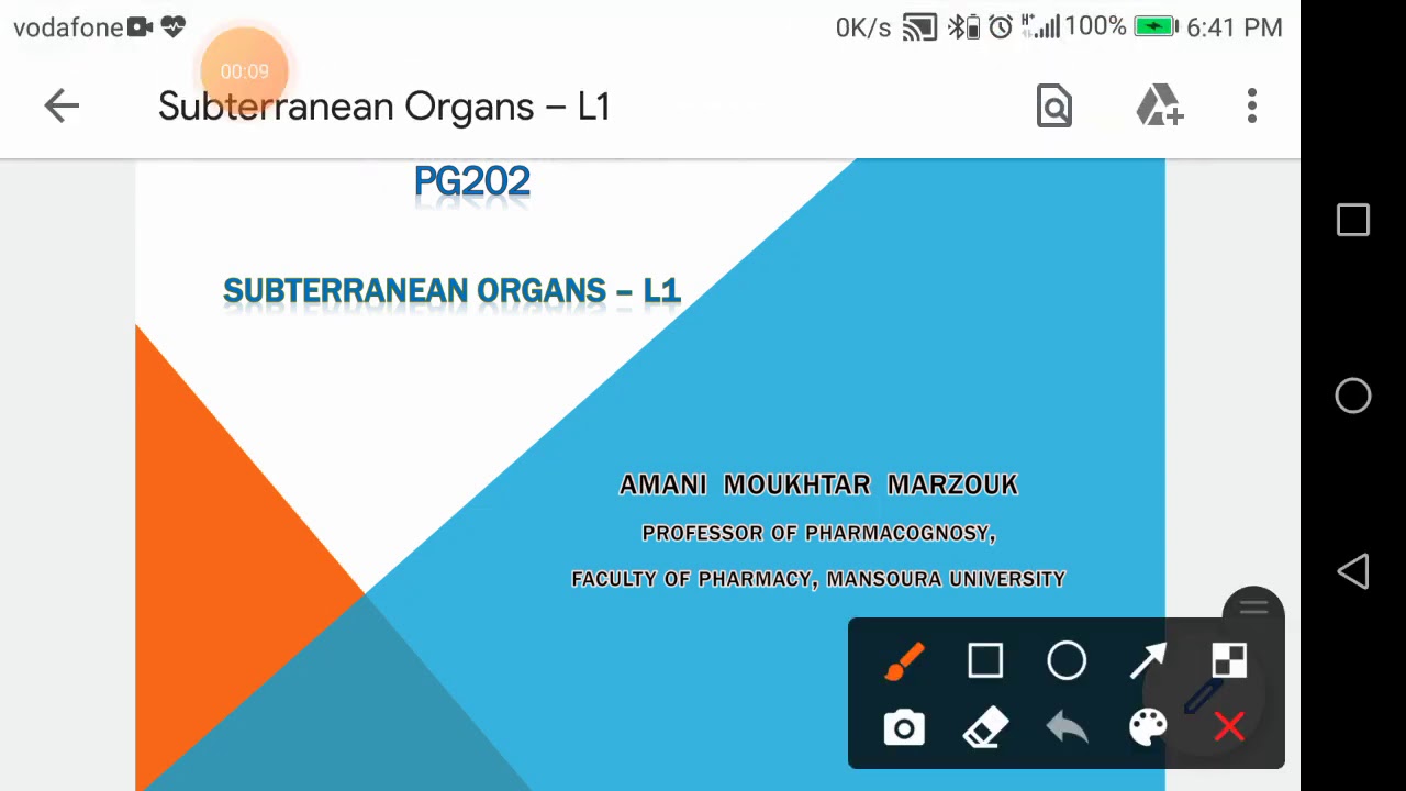 Cogno2 subterranean organs part 1