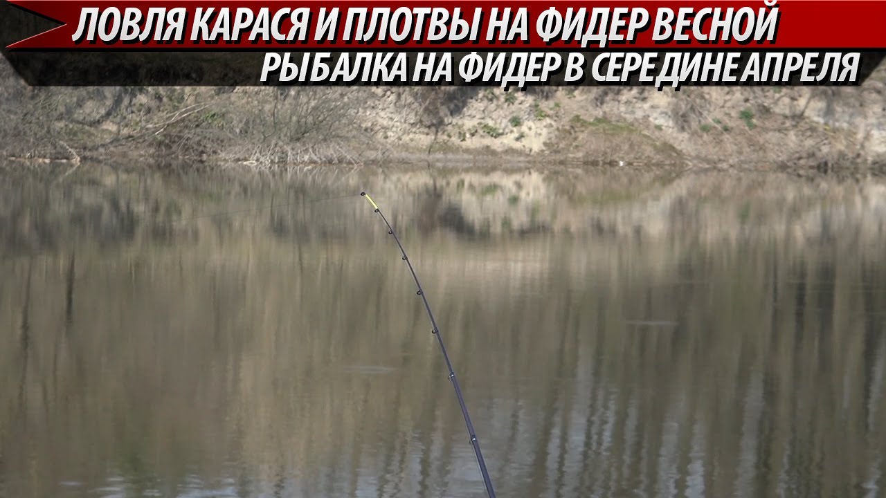 Ловля карася на фидер в середине апреля. Рыбалка на фидер 2020