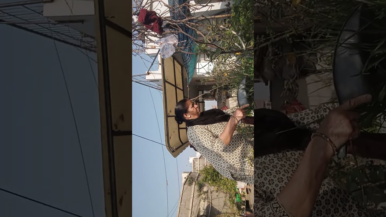 दादी का किचन गार्डन और गोबर की खाद