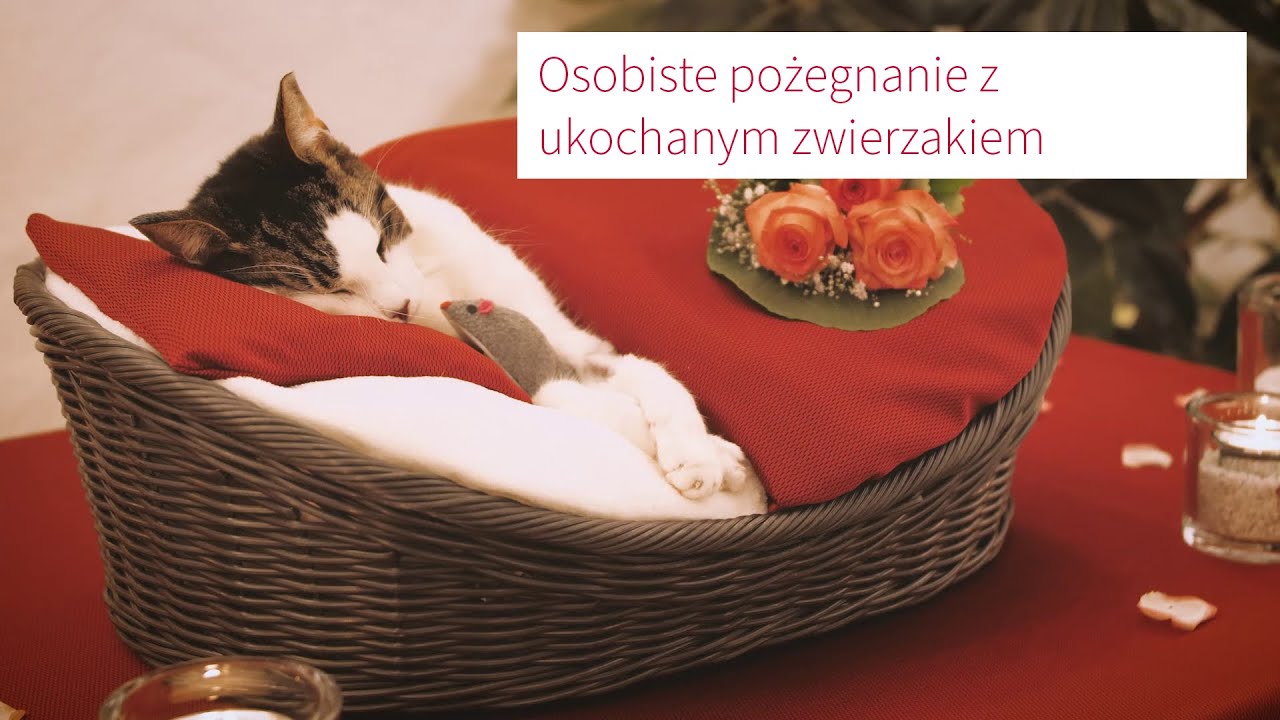Osobiste pożegnanie z ukochanym zwierzakiem