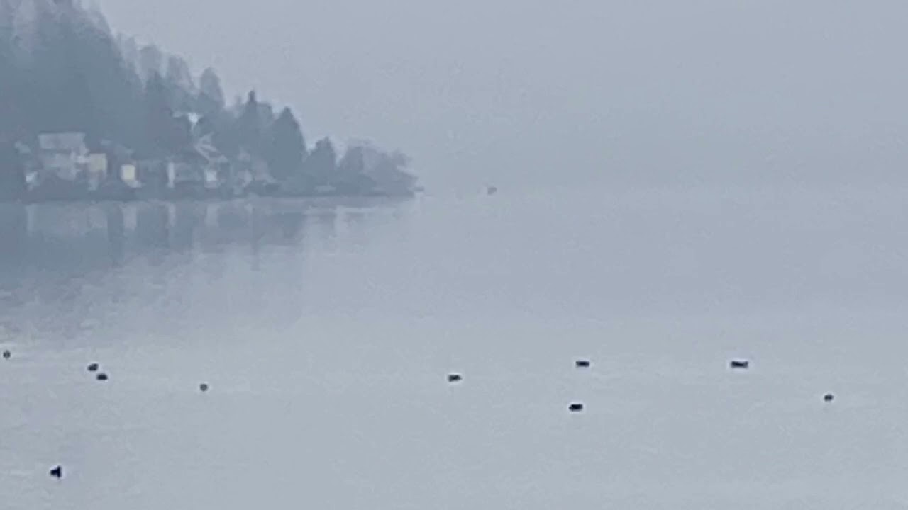 Erdung, Beruhigung, Innerer Ort! Eine Kurze Tägliche Meditation