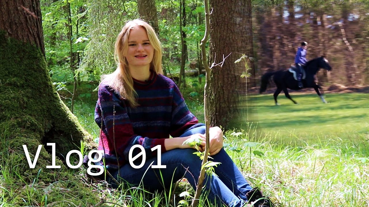 Visiting my Horse and collecting Herbs in a German spring forest
