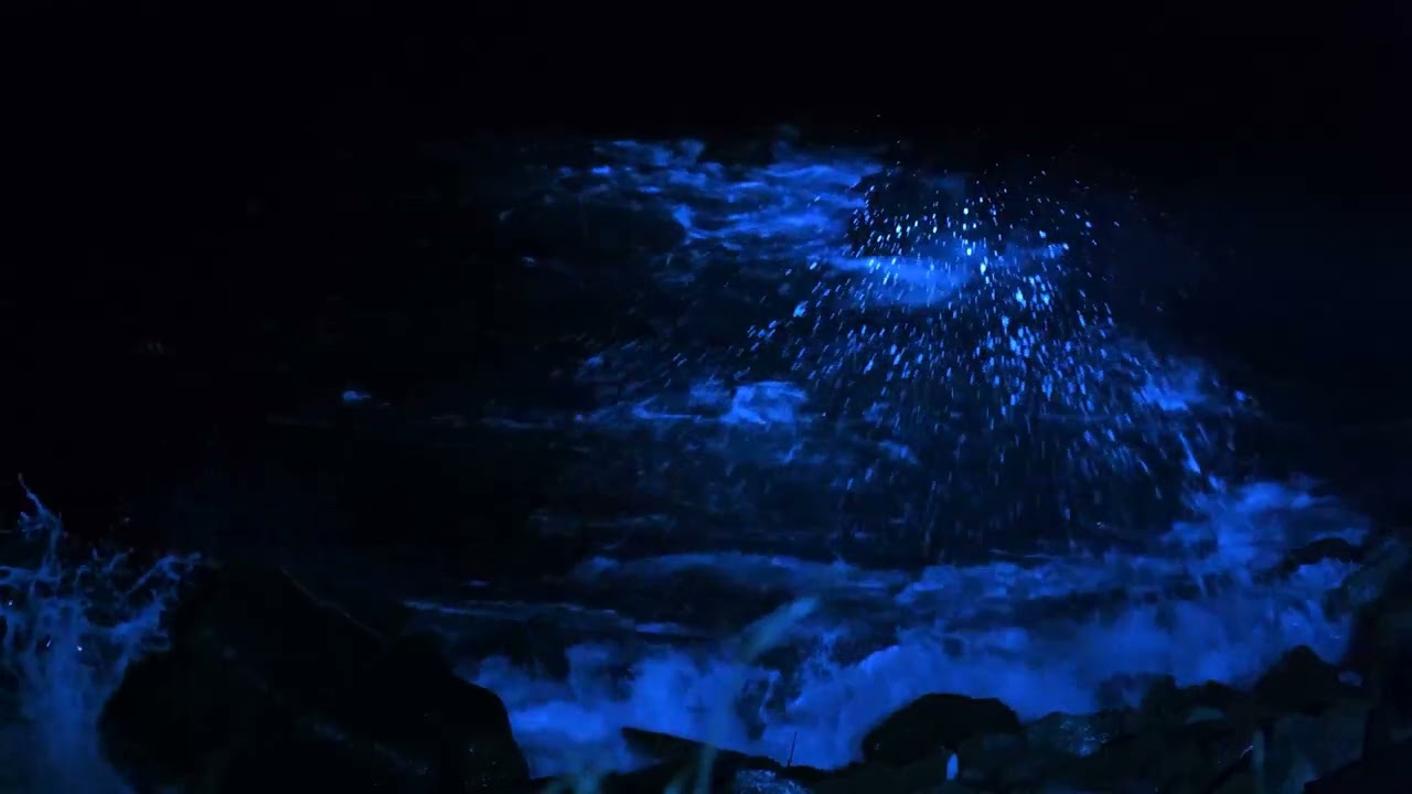 Calm Sea Waves with Soft Piano for Insomnia Relief, Stress Reduction and Quiet Night Relaxation