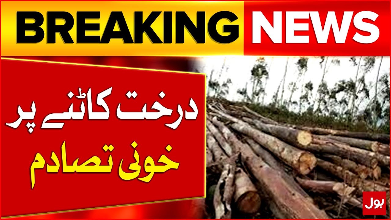 Blo*dy Clash Over Tree Felling | Clash On Cutting Tree | Breaking News