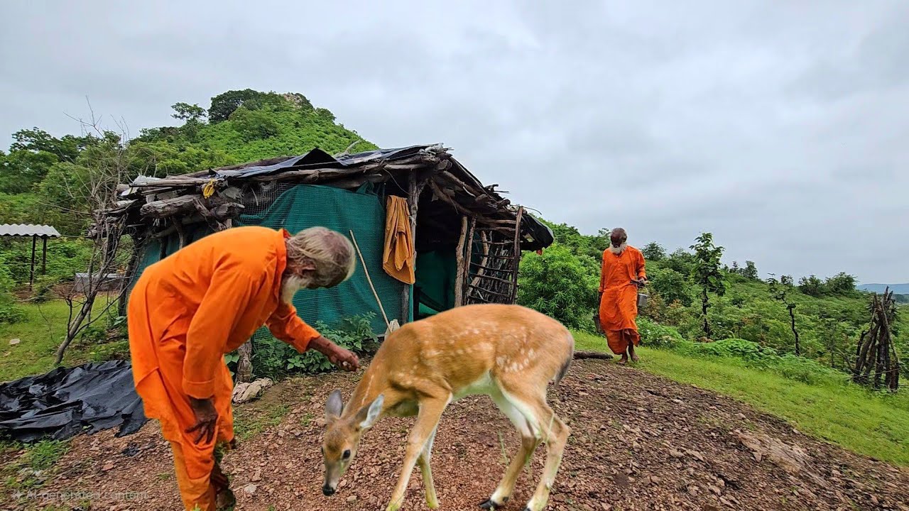Chitrakoot सिद्ध बाबा की कृपा वृद्ध संत जी की कुटिया में सात्विक टिक्कड़ प्रसादी