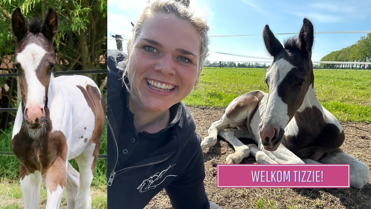 Mijn DROOM komt uit, een TWEEDE PAARD! - Life as Esmé