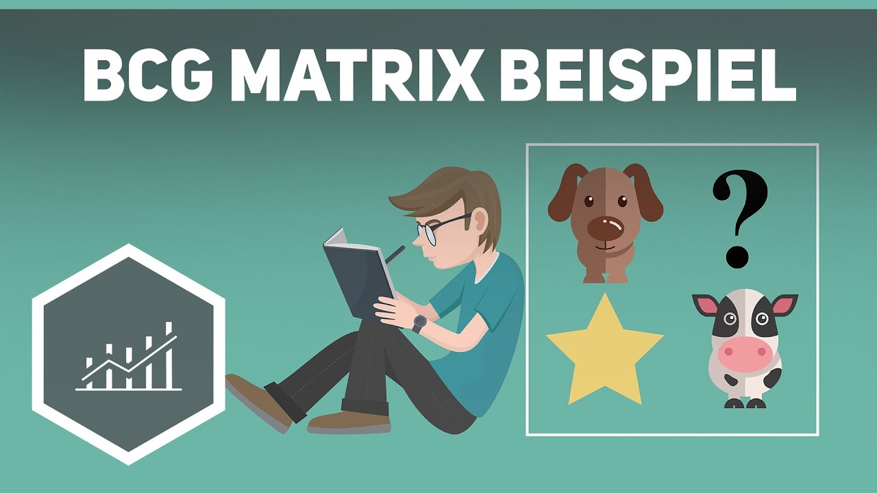 BCG-Portfolio &ndash; Am Beispiel einfach erkl&auml;rt