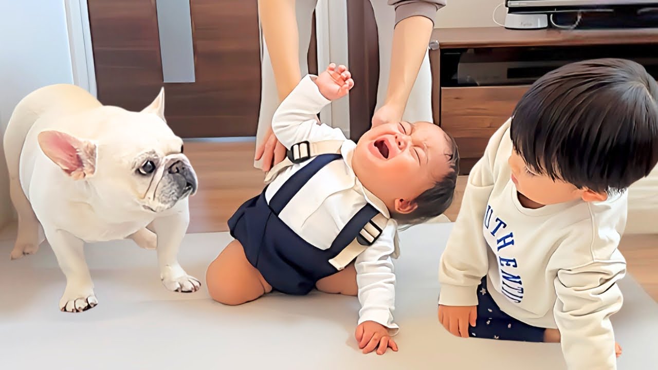 泣きながら頑張る赤ちゃんを母親のように見守る愛犬が可愛いすぎました…