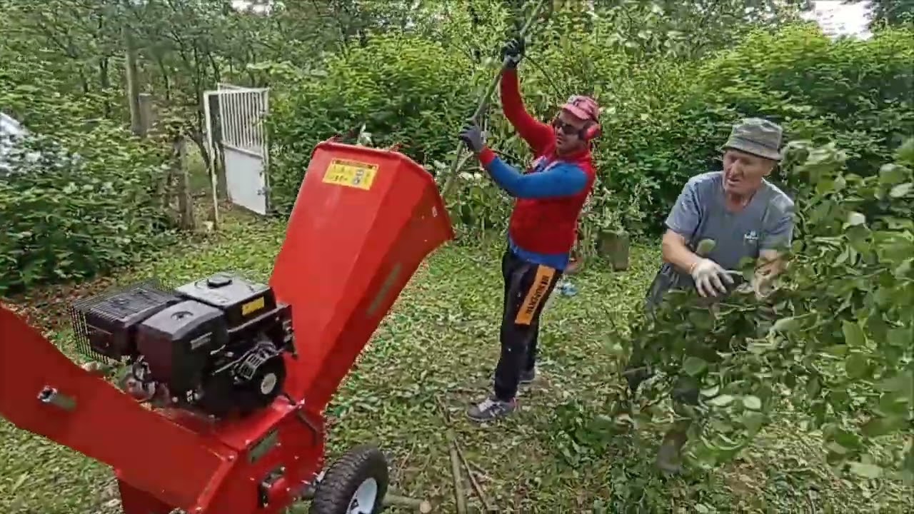 Drobilica za granje Hecht 6642 😈😈😈  #shortvideo#shortfeed#shorts#short  #funny#viral