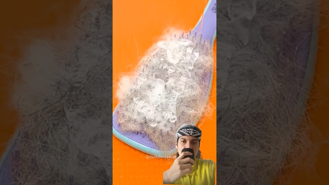 Cleaning Hair⁉️cuddleclaws