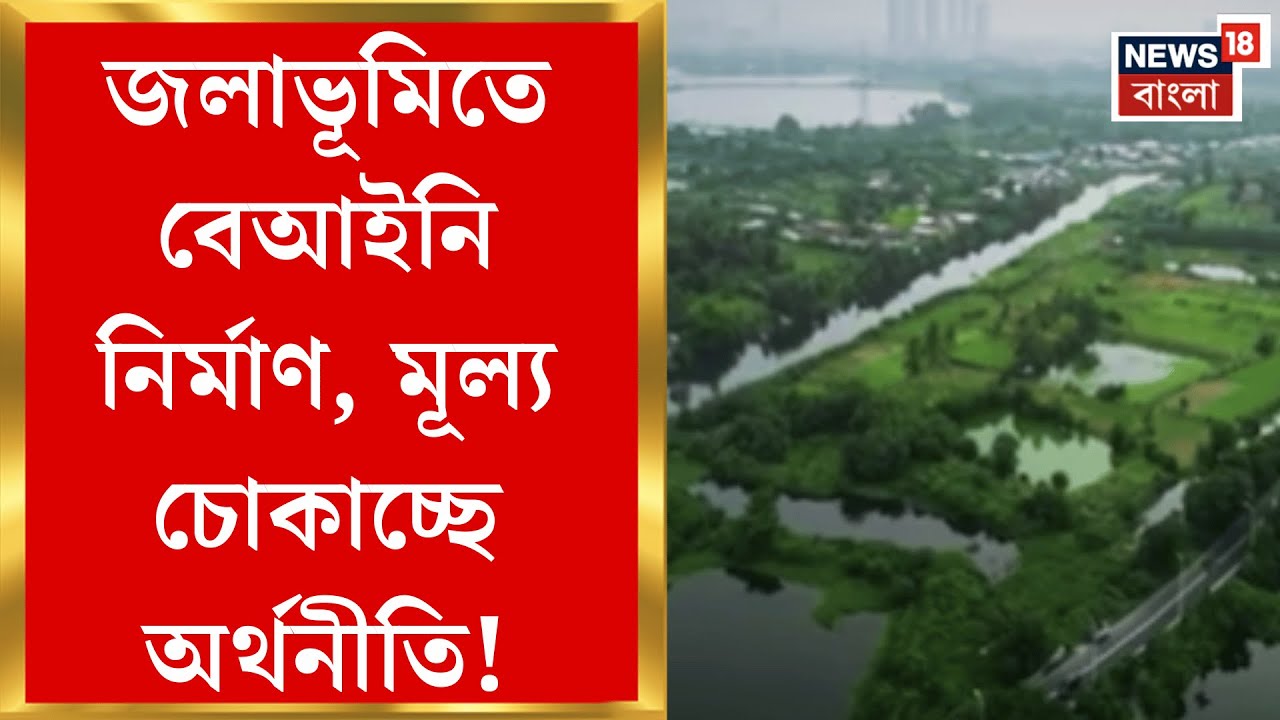 Narendrapur News | পূর্ব কলকাতায় একের পর এক জলাভূমি দখল, পরিবেশ দূষণের জোরাল ধাক্কা অর্থনীতিতে!