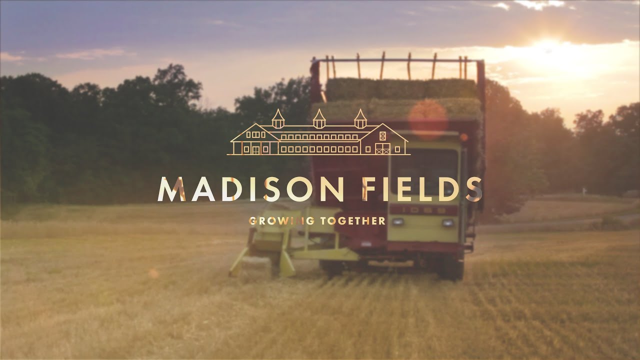 Amber Waves of Grain: the Madison Fields wheat harvest