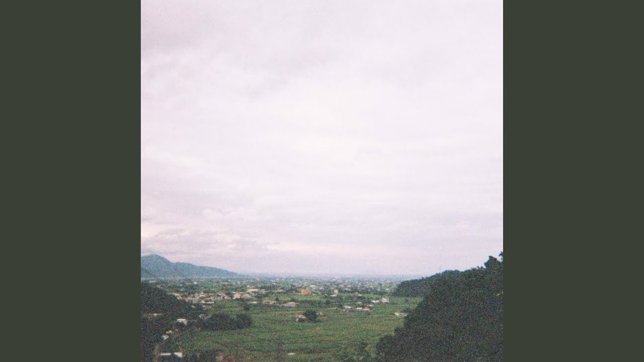 田