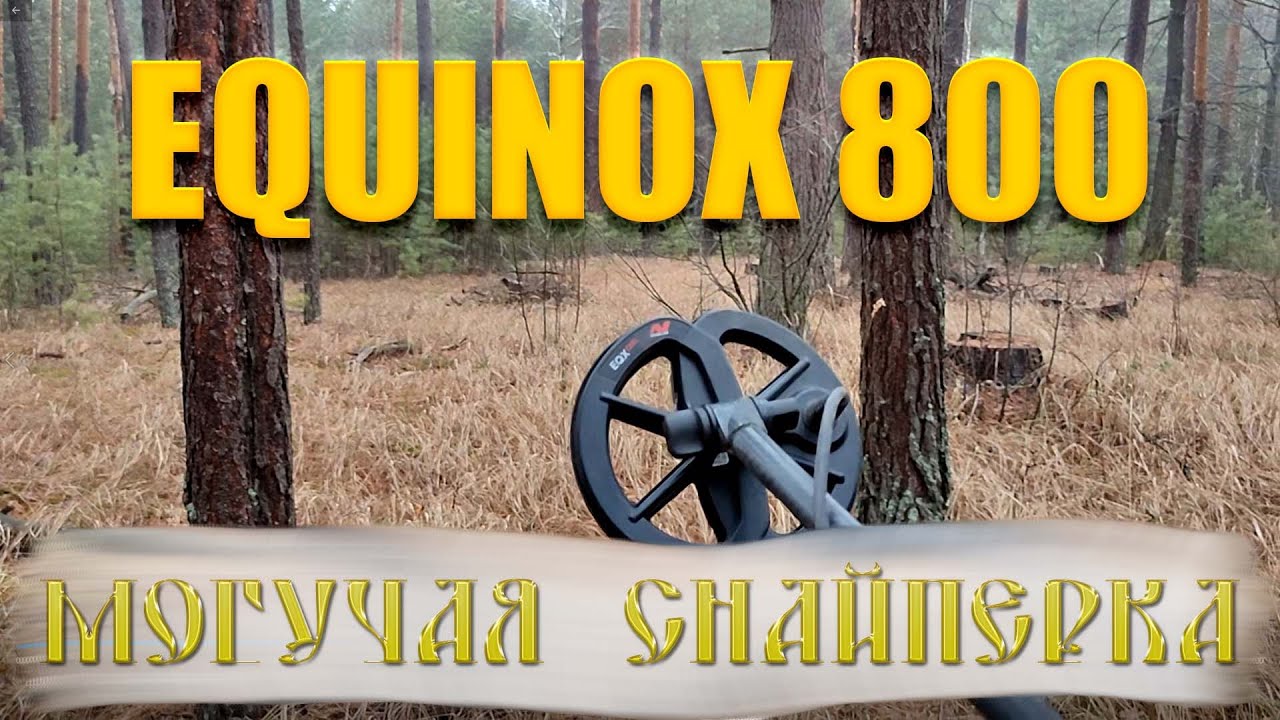 Тест на полигоне - Minelab Equinox 800 (6