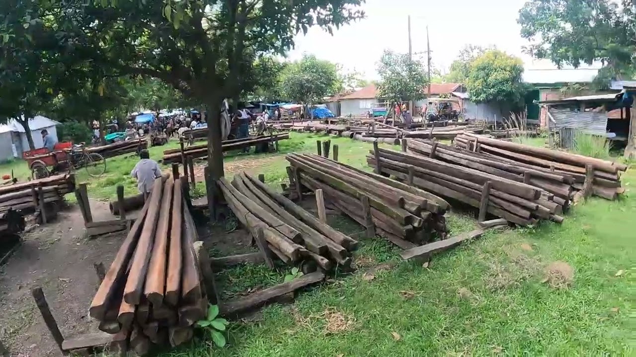 ৯০ দশকের ব্যবহারিত তাল গাছের খুঁটি যা এখন প্রায় বিলুপ্তর পথে