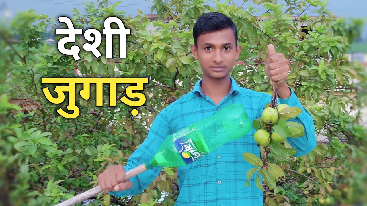 कोई भी फल तोड़ने का देसी जुगाड़🍐🥭/Desi Jugaad To Pluck Fruit🍊🍏/Rahul Yadav Star