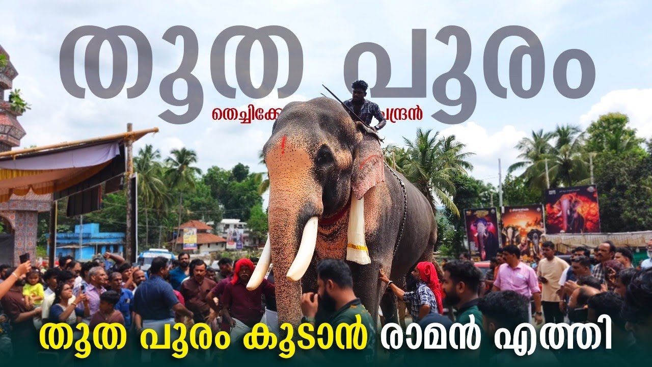 Thechikottukavu Ramachandran Thootha Pooram 2025 💪😍 | Thootha Pooram 2025 | Raman Thootha Pooram