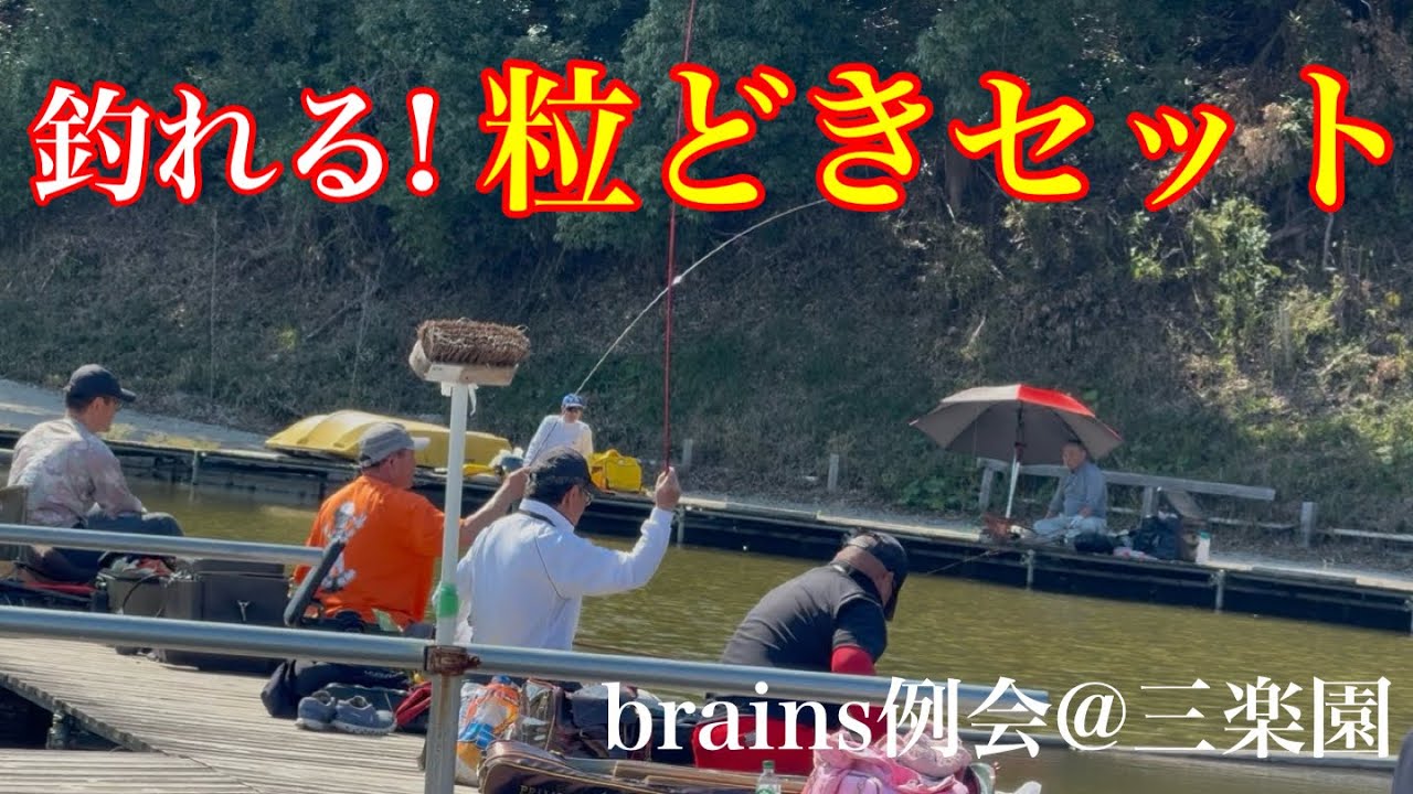 【三楽園】新エサ「ほどき」をセットで使いこなす術