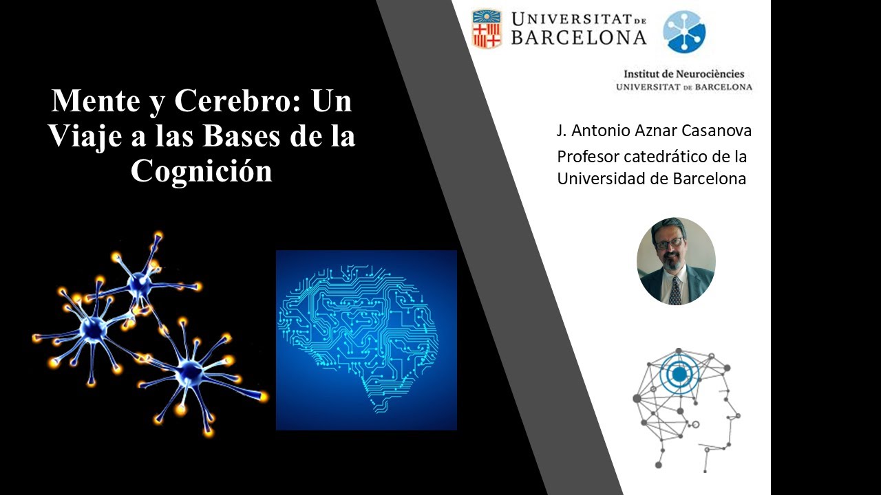 Mente y Cerebro: Un Viaje a las Bases de la Cognici&oacute;n