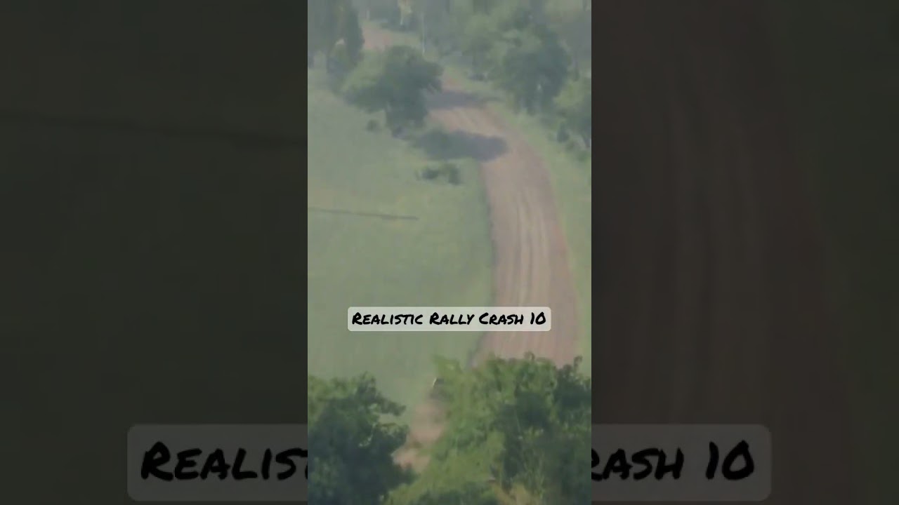Realistic Rally Crash 10 - Dirt Rally 2.0 PlayStation 4 Gameplay #gaming #fails #crash #gameplay