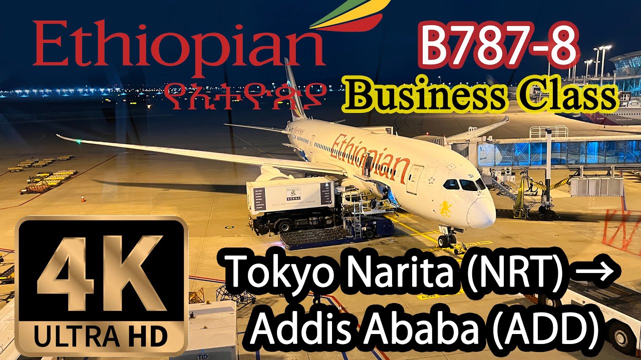 【4K Flight Business】Tokyo Narita (NRT) to Addis Ababa (ADD) via Seoul, Ethiopian Airlines B787-8