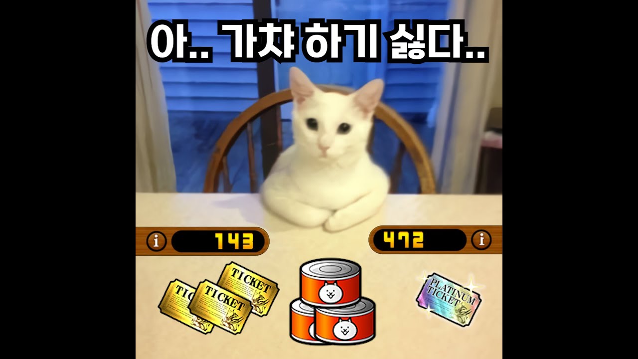뉴비 계정을 받으면 생기는 일 [냥코 대리가챠]