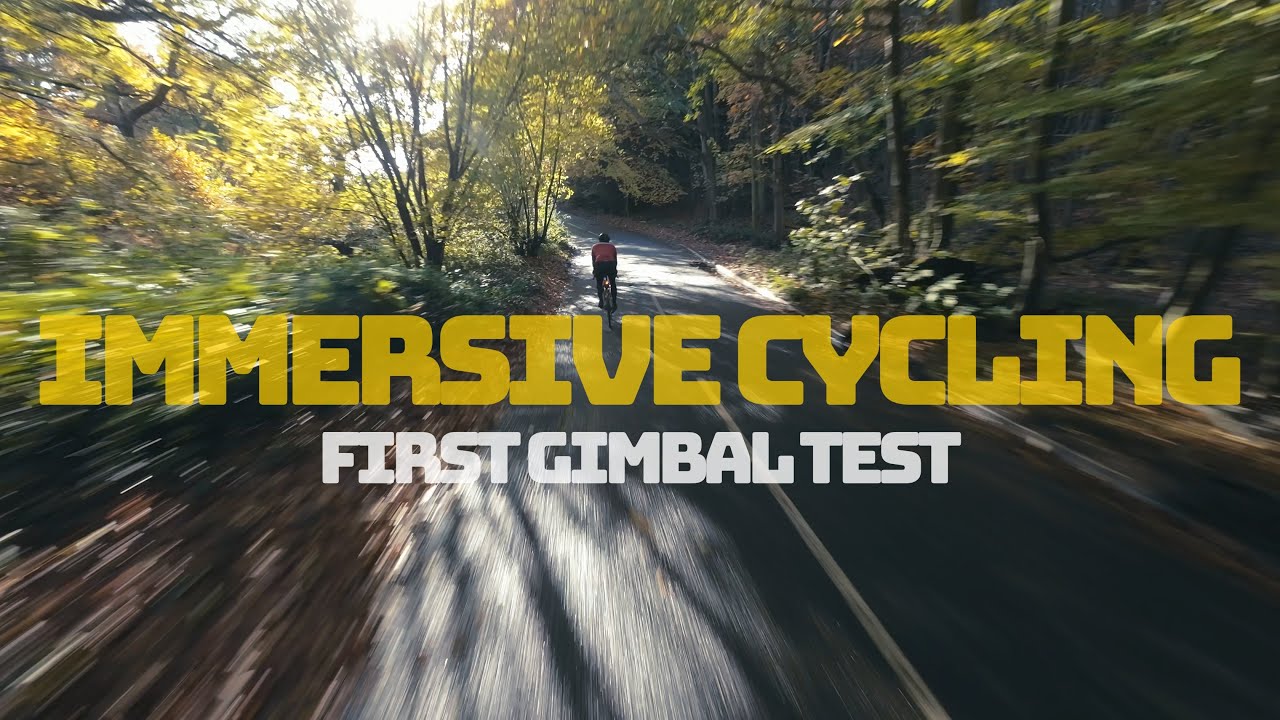 Friends & road bikes I Immersive cycling