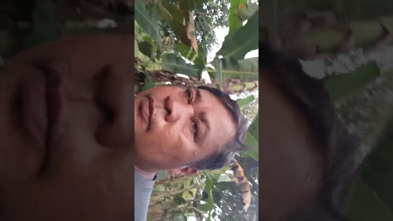 February 15, 2026maayong hapon idol naa tah area idol 