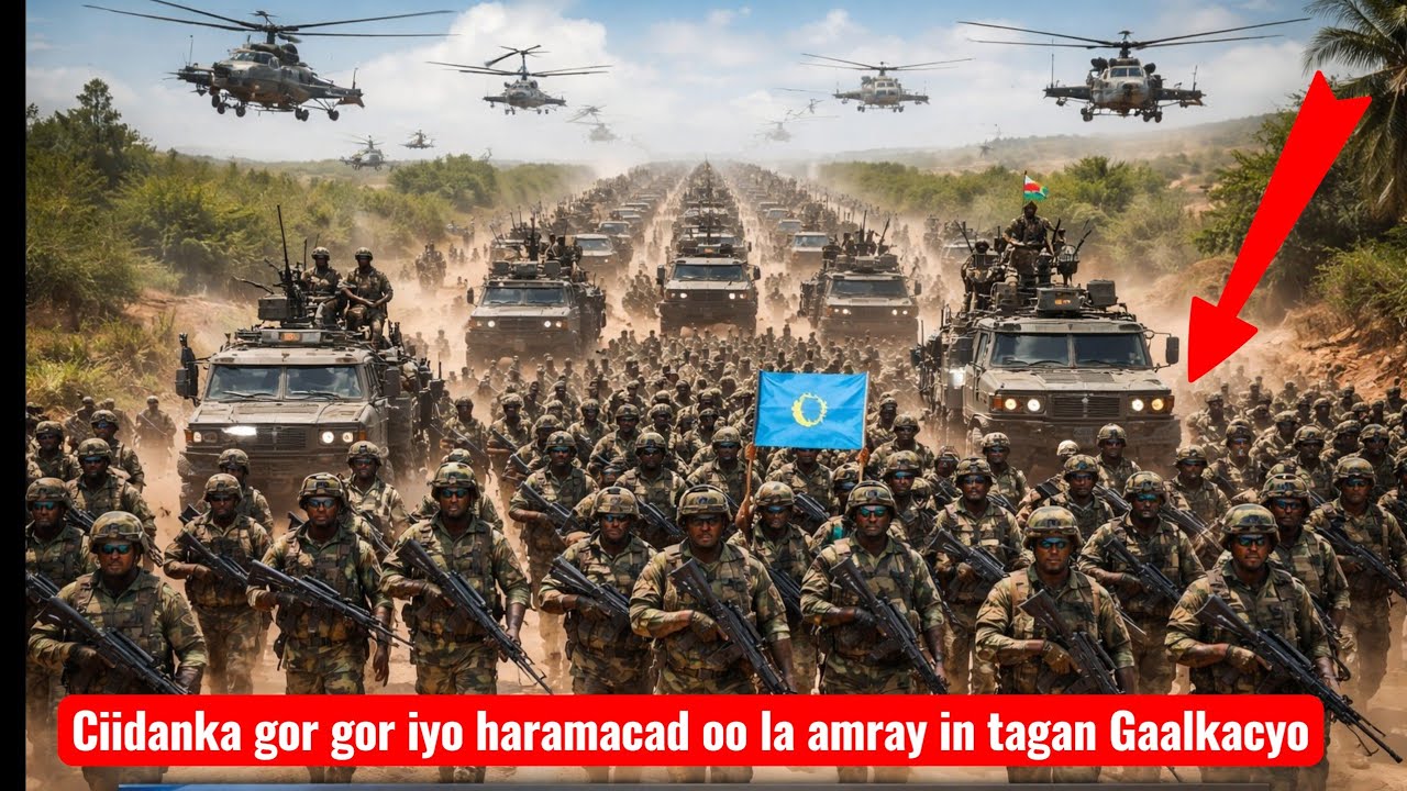 XOG SIR AH: PUNTLAND HALIS KU JIRTA! Xasan Sheekh Oo Diray Ciidamada Ugu Awoodda Badan &ndash; Gorgor & eg