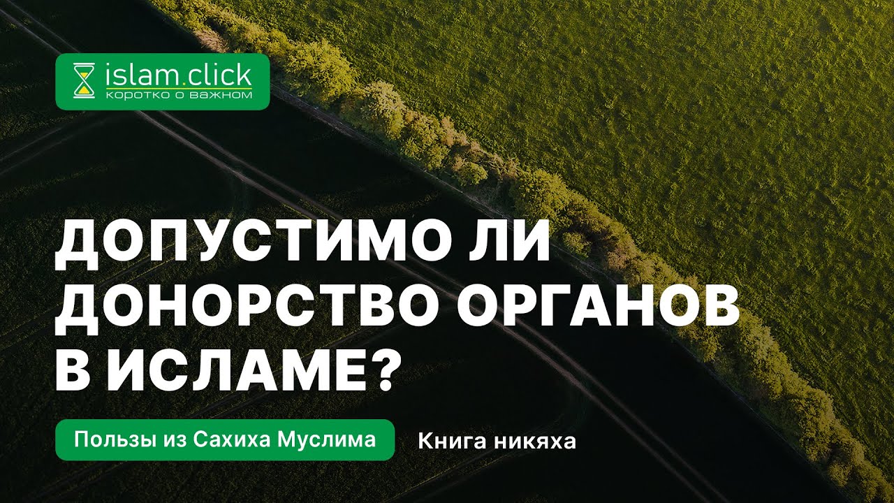 Допустимо ли донорство органов в исламе? Абу Яхья Крымский