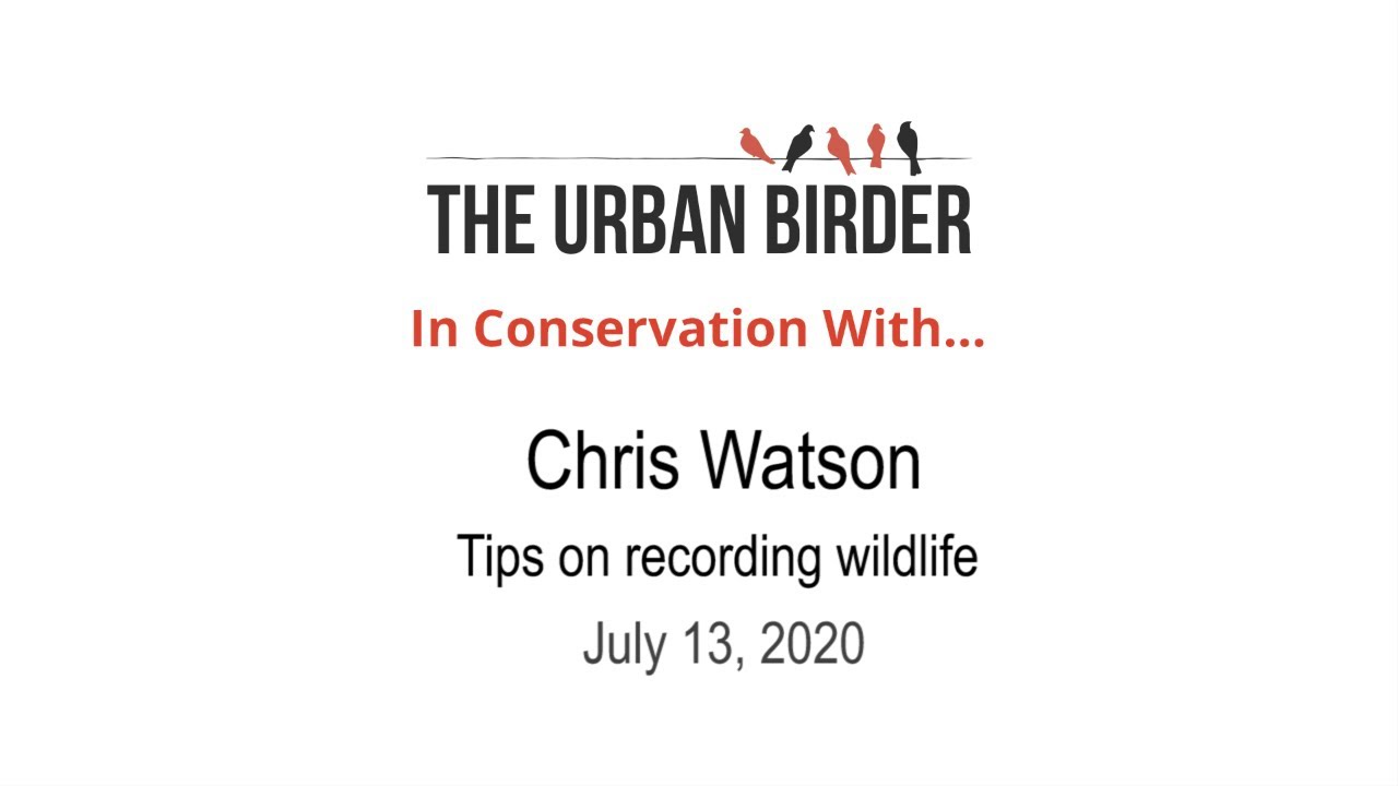 In Conservation With… Chris Watson