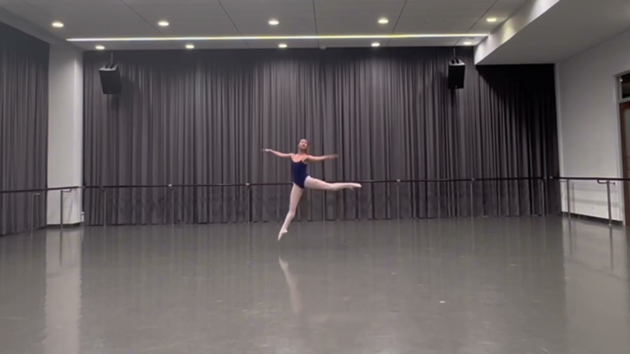 Tianyi Zhang video audition