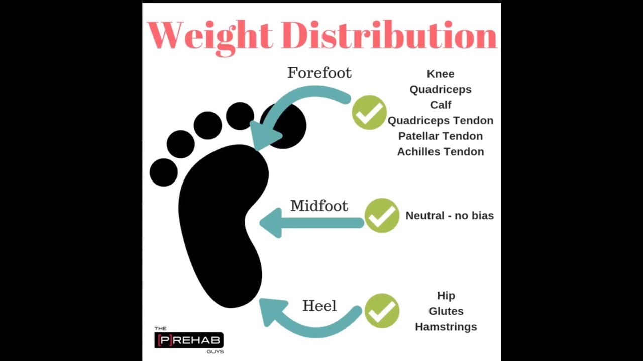 Weight Distribution In Lunge - Where Do I Put My Weight In The Lunge?