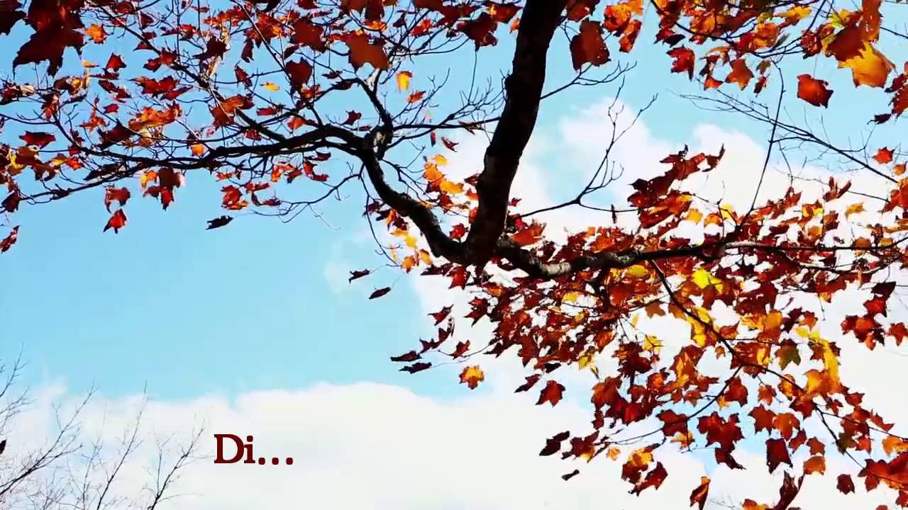 Akira Yamaoka-Always on my mind subtitulado
