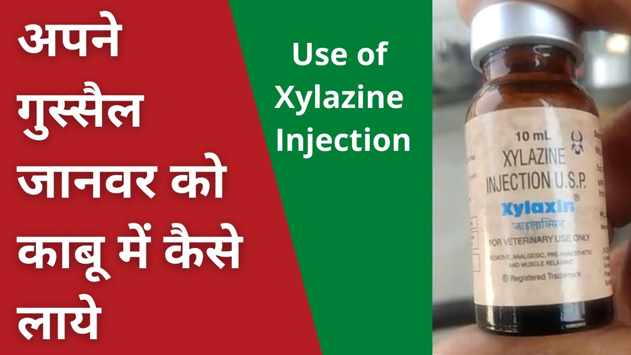 अपने गुस्सैल जानवर को काबू में कैसे लाये | Use of Xylaxin Injection | Xylazine Injection