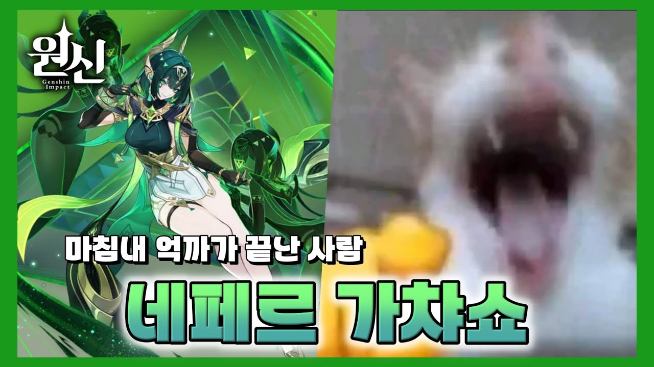 [원신] 5연 픽뚫 끝나서 좋아하는 사람 [네페르 가챠쇼]