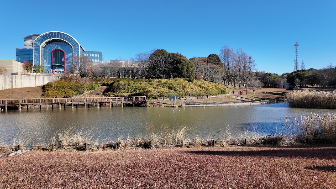 【あいち健康の森公園】冬の1時間半さんぽ。静かな池と森で心身をリセット。｜2025-12-18