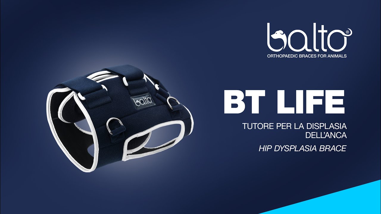 BT LIFE - TUTORE PER LA DISPLASIA DELL’ANCA - HIP DYSPLASIA BRACE