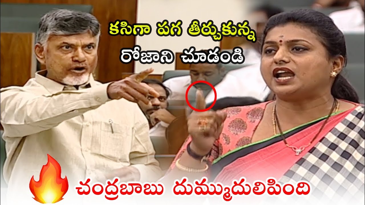 YSRCP Party MLA Roja Sensati0nal Comments On Ex CM Chandrababu | Political Qube