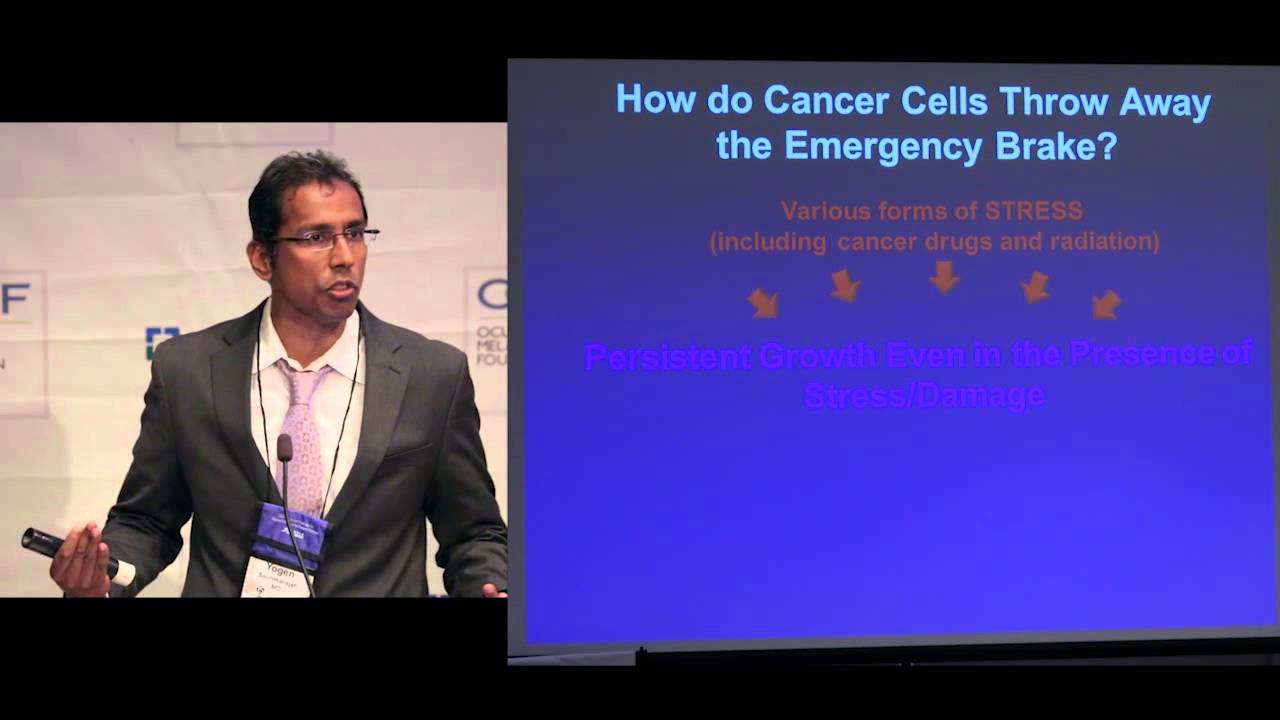 SAT - 11 - Science Panel B (Yogen Saunthararajah)