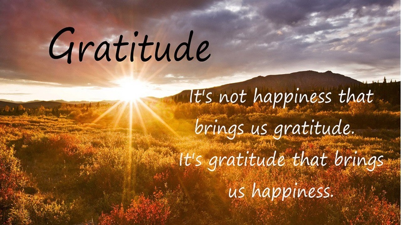 Service for Feb 22, 2026: Gratitudinal Healing