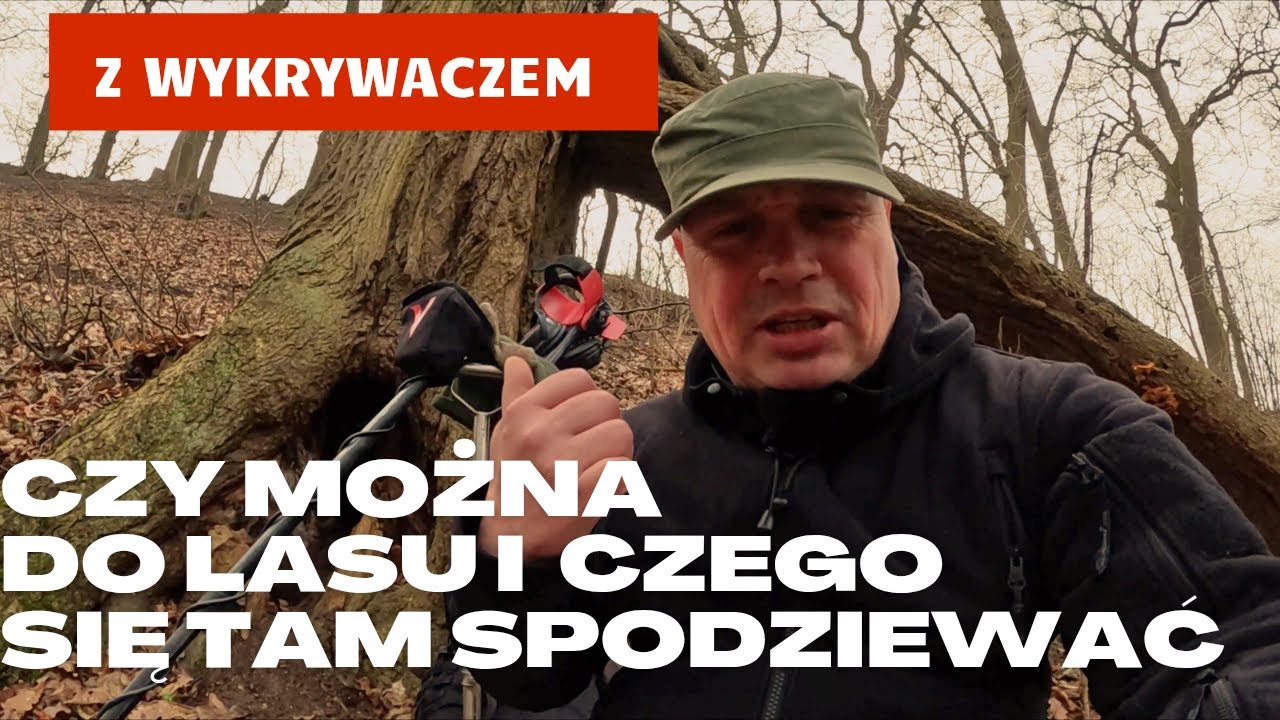 Czy można poszukiwać legalnie wykrywaczem metali w lesie i czego się spodziewać