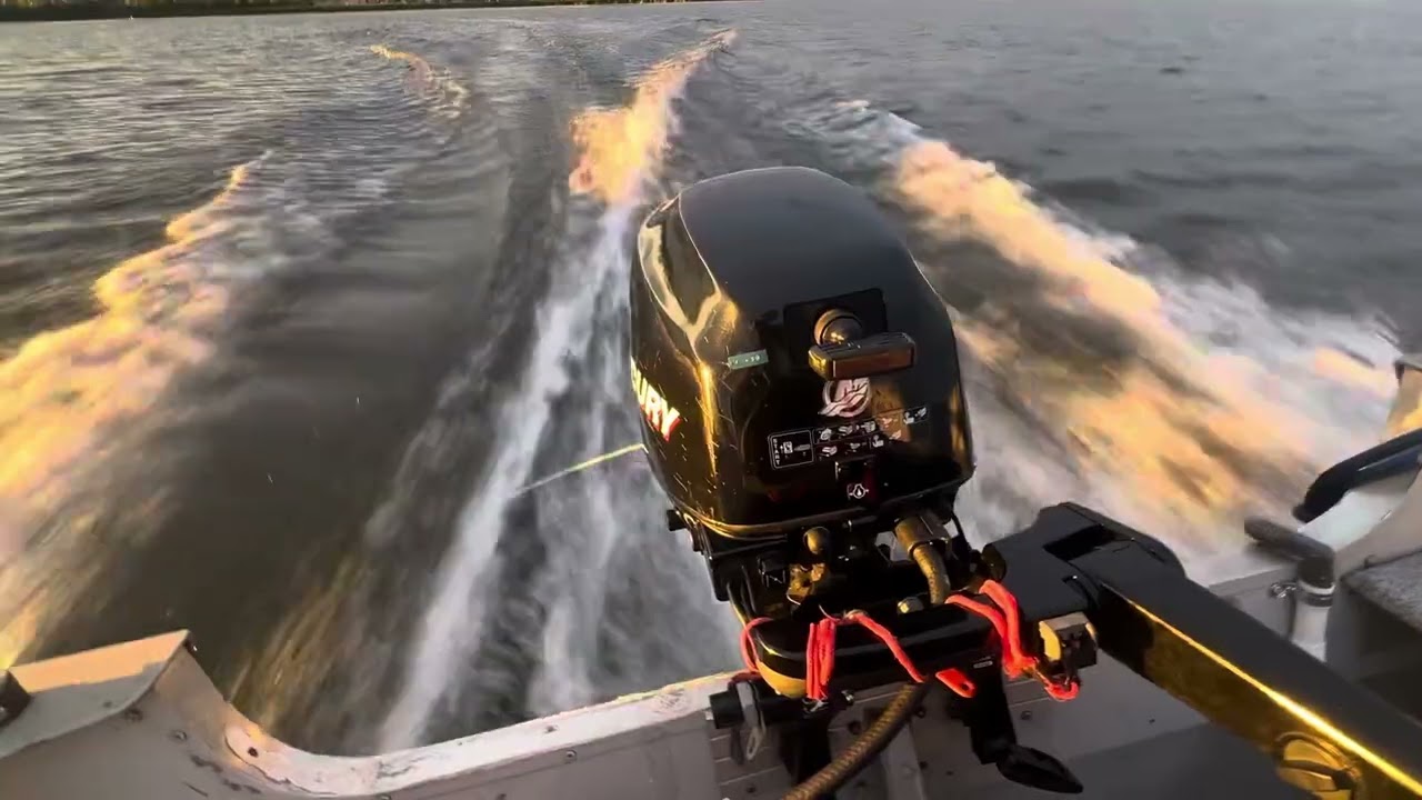 2010 8hp Mercury 4 Stroke Outboard Motor