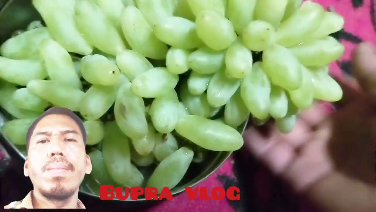 Bupra Vlog.... Dalbidal Phunukmung.
