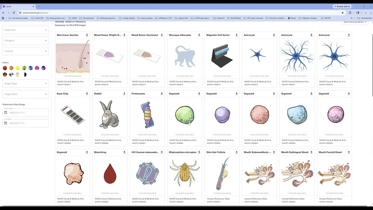 Best FREE Website for Graphical Abstracts | NIH BioArt (Better Than BioRender?)